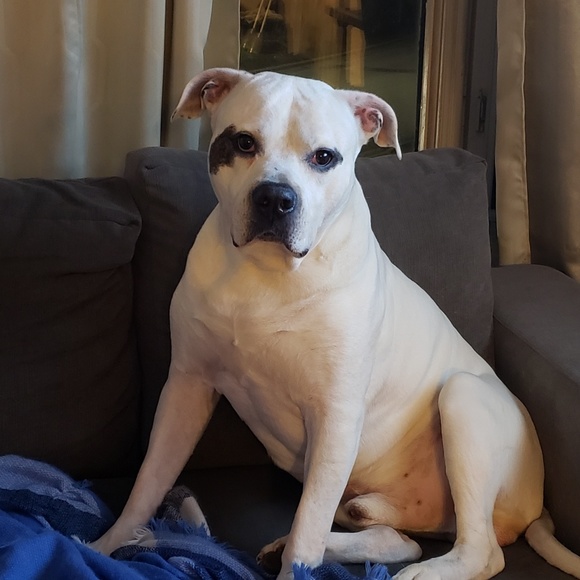 Meet your Posher, Angela - Picture 1 of 1